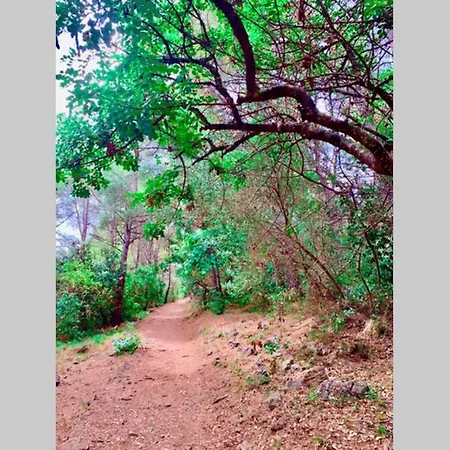 아파트 Studio On The Attic 3min From The Sea & Main Street 니스